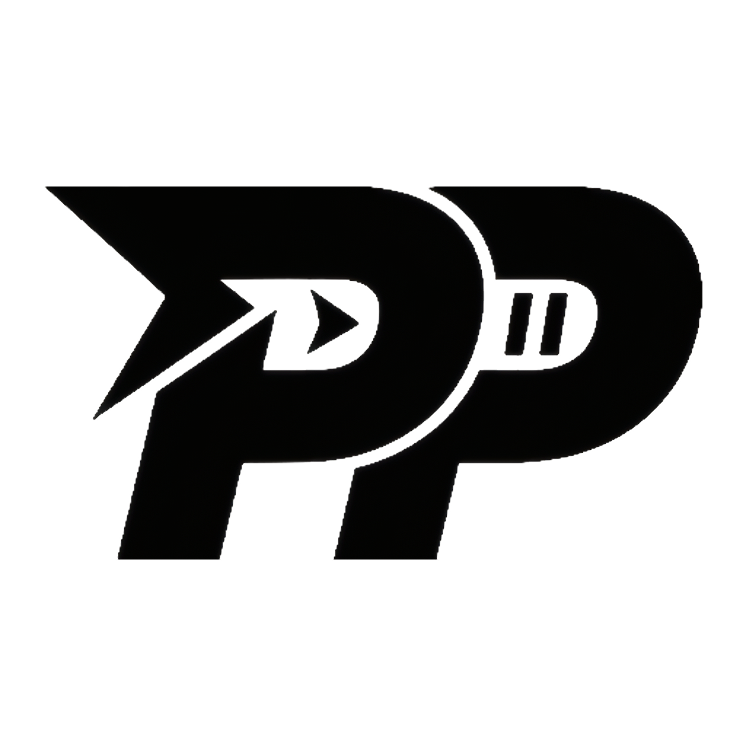 Prompt & Pause